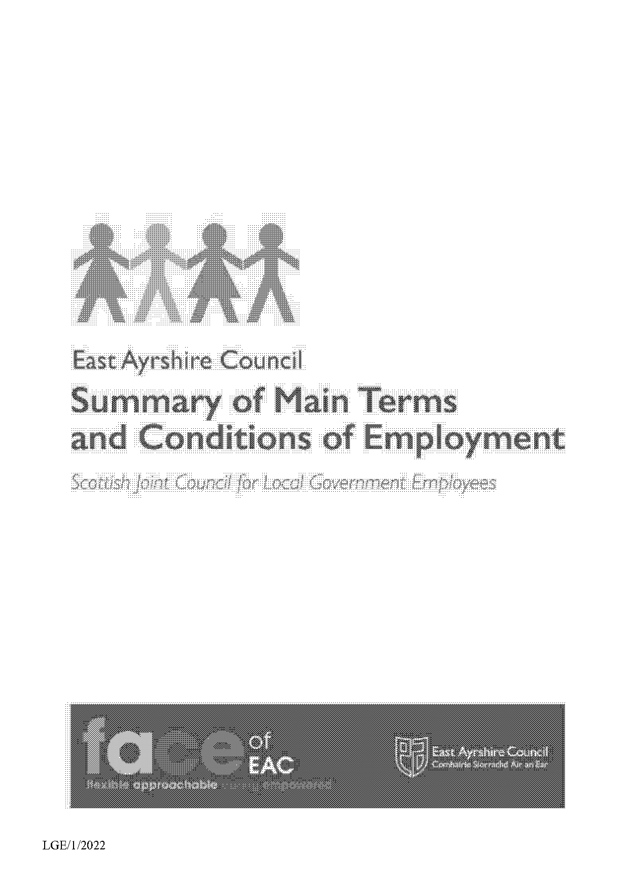 local government terms and conditions of employment