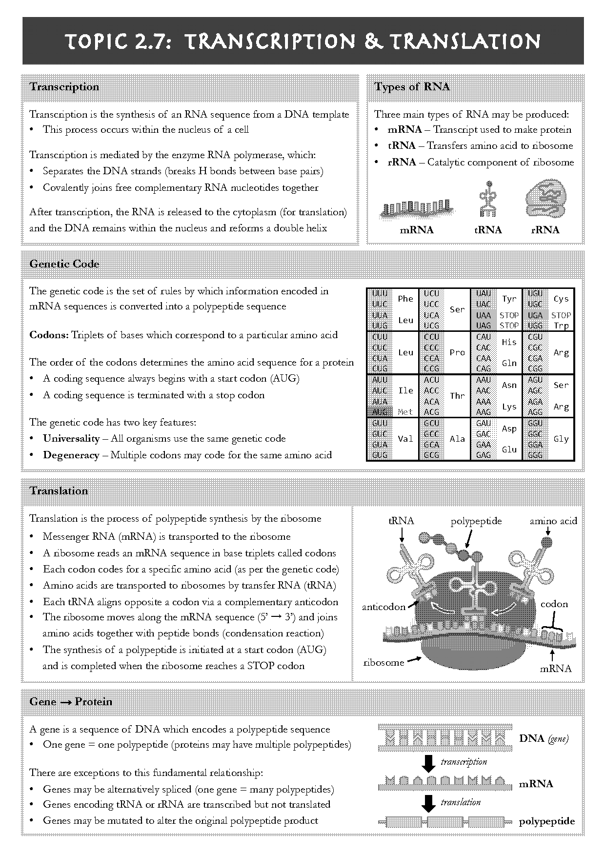 transcription of genetic code