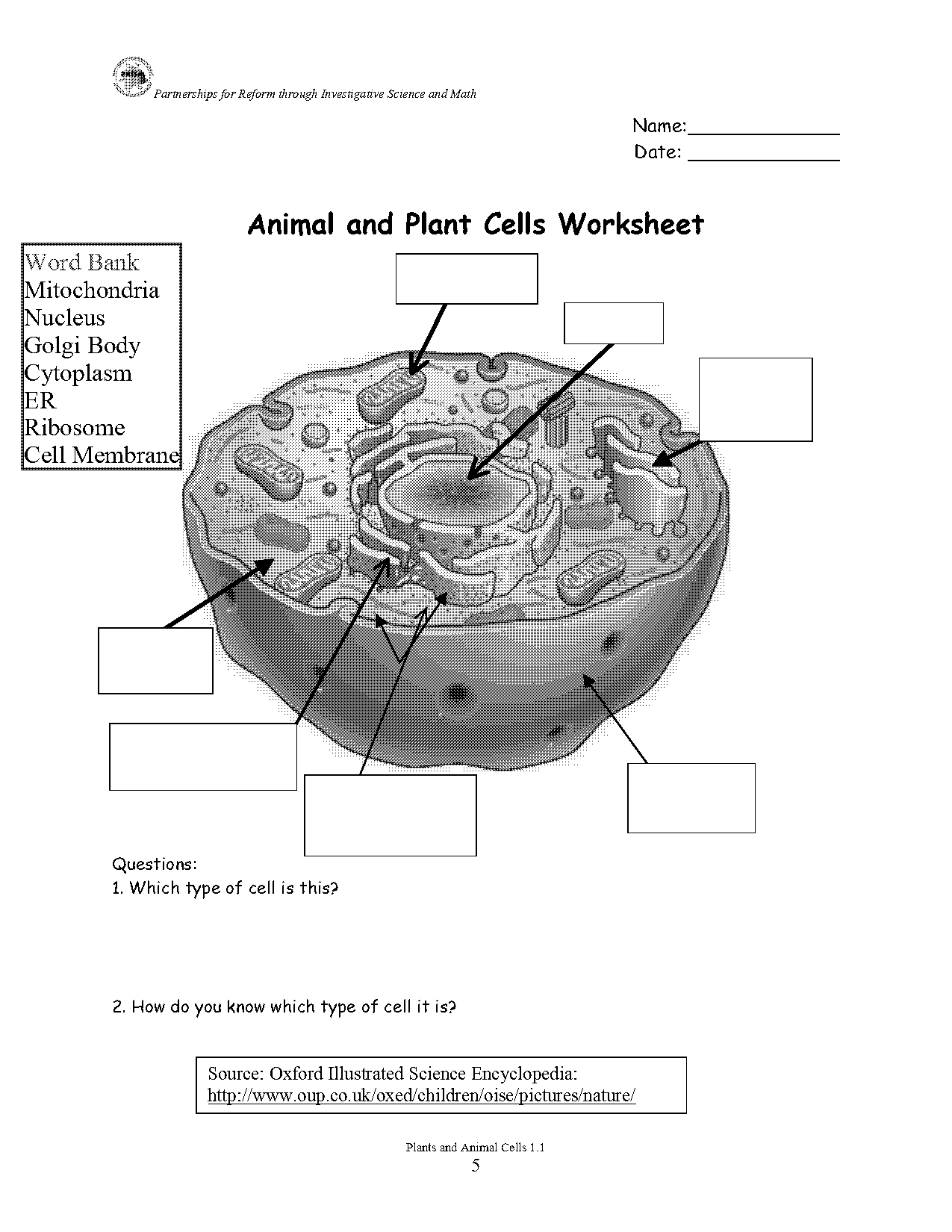 label plant cell worksheet