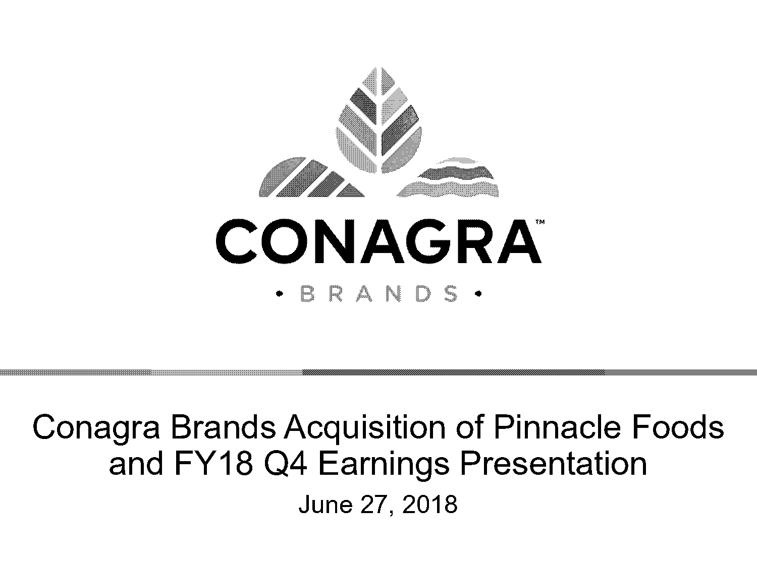 pinnacle foods investor presentations