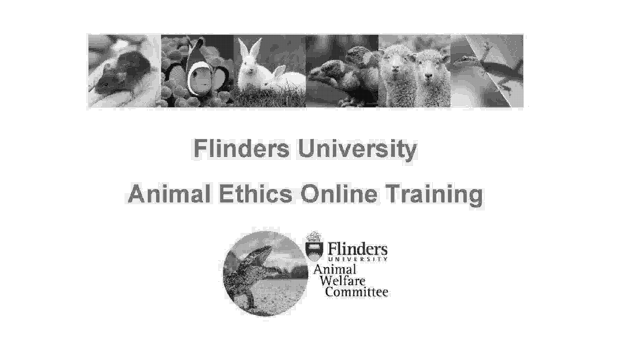 flinders university medicine application form