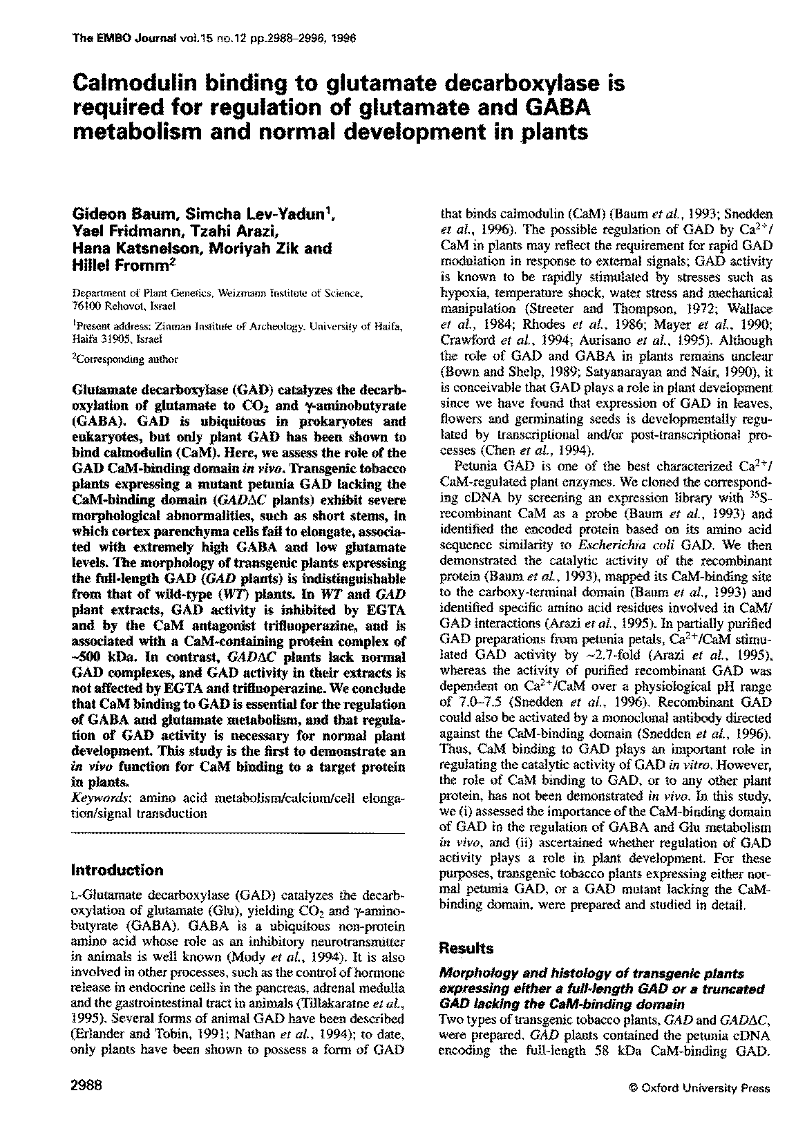 glutamate decarboxylase activity mammalian cell protocol