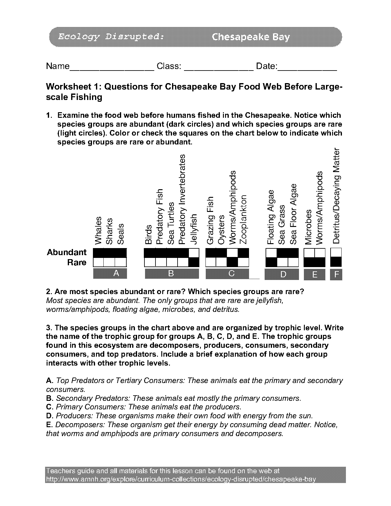 yellowstone food web worksheet answers