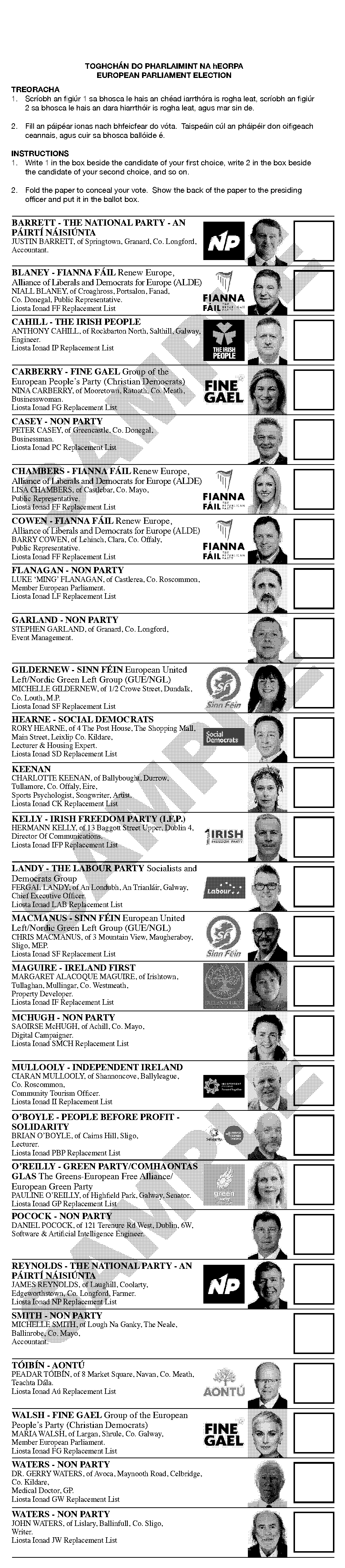 sample ballot paper ireland