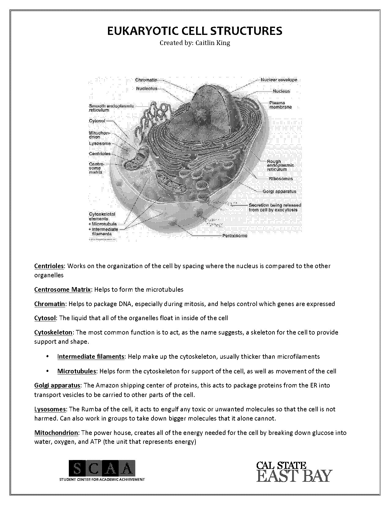 cell parts and functions notes pdf