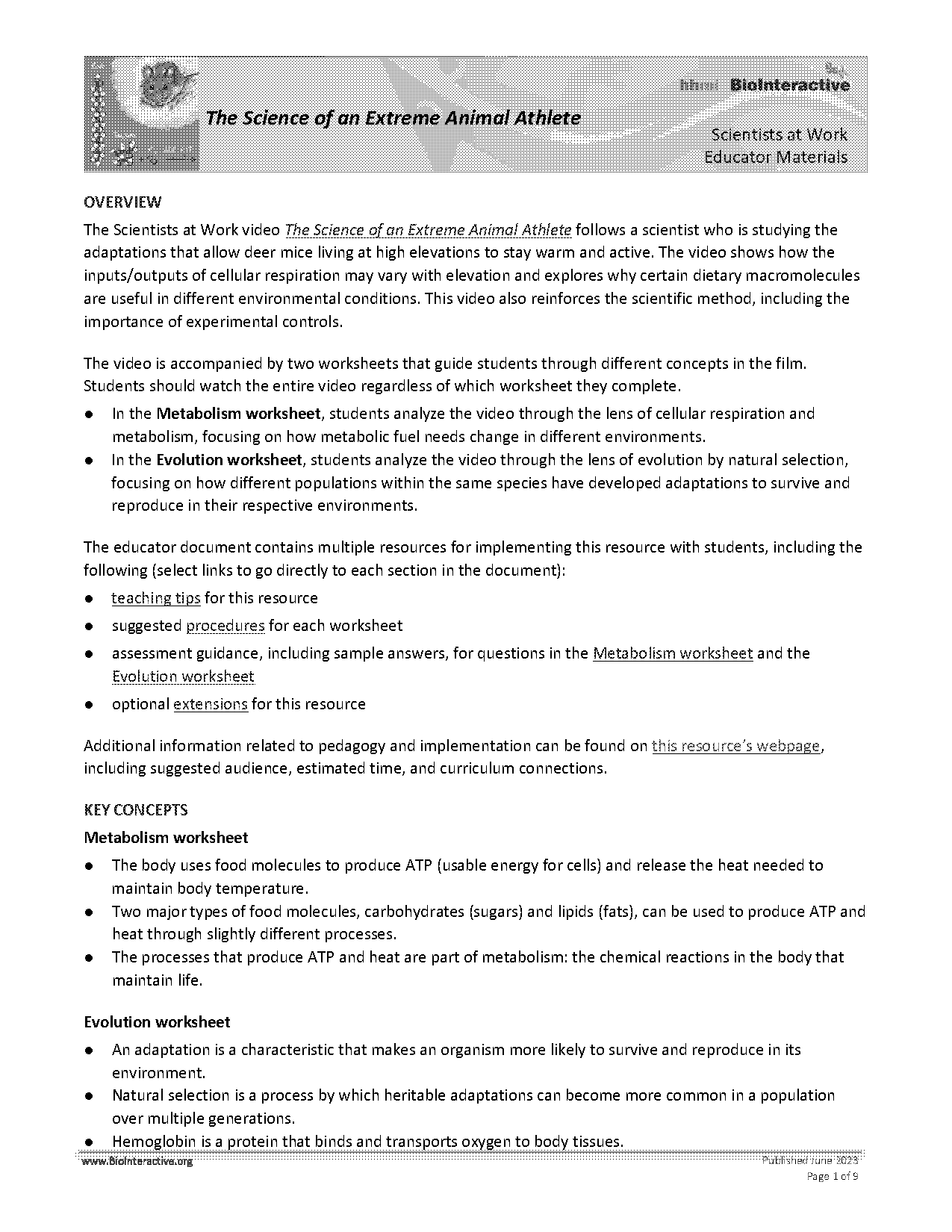 anaerobic respiration worksheet answers